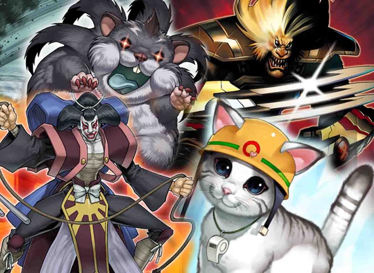 Your Trusted Marketplace for Collectible Trading Card Games